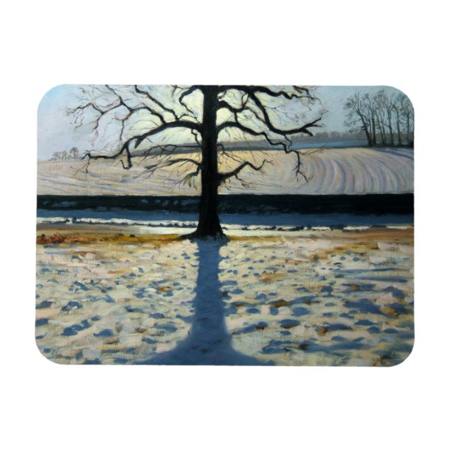 Tree and Shadow Calke Abbey Derbyshire Magnet (Horizontal)