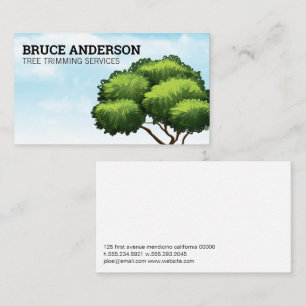 Tree and Sky   Landscaping Business Card