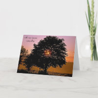Tree and Sunset sympathy