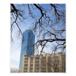 Tree and Tall Building, Dallas, Texas Photo Print