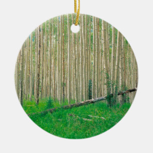 Tree Aspen Grove Colorado Ceramic Tree Decoration