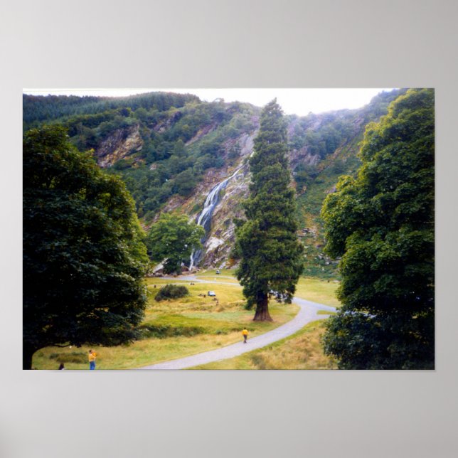 Tree at Powerscourt Falls Poster (Front)