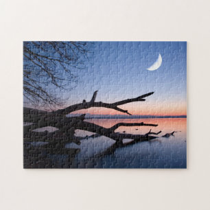 Tree at Starnberg Lake Muensing Bavaria Germany Jigsaw Puzzle