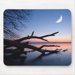 Tree at Starnberg Lake Muensing Bavaria Germany Mouse Pad