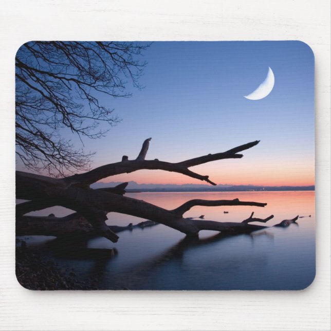 Tree at Starnberg Lake | Muensing Bavaria Germany Mouse Pad (Front)