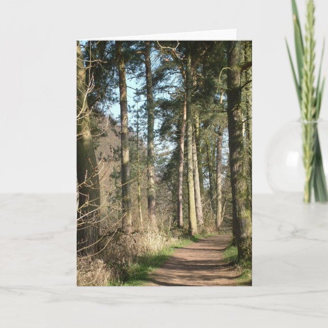 tree avenue card (Front)