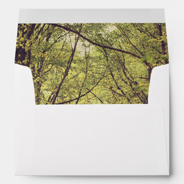 Tree Avenue - Wedding Envelope (Back (Bottom))