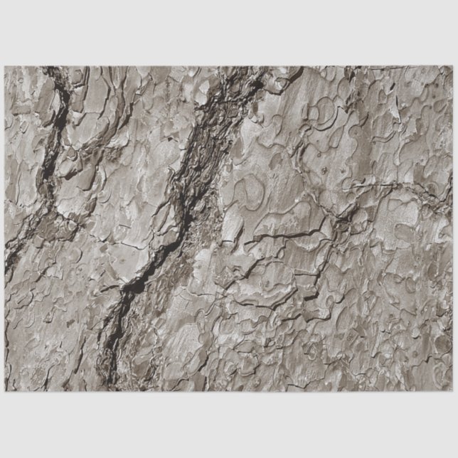 Tree Bark A Tissue Paper (Front)