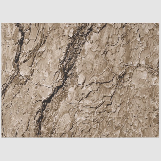 Tree Bark B Tissue Paper (Front)