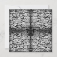 Tree Bark Black And White Photo Closeup Pattern