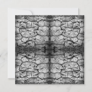 Tree Bark Black And White Photo Closeup Pattern    Card