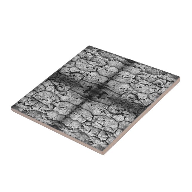 Tree Bark Black And White Photo Closeup Pattern Tile (Side)