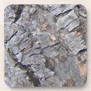 Tree Bark Coaster