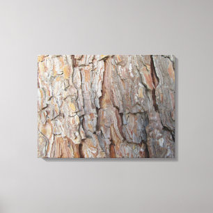 Tree Bark Fall Autumn Patterns  Canvas Print