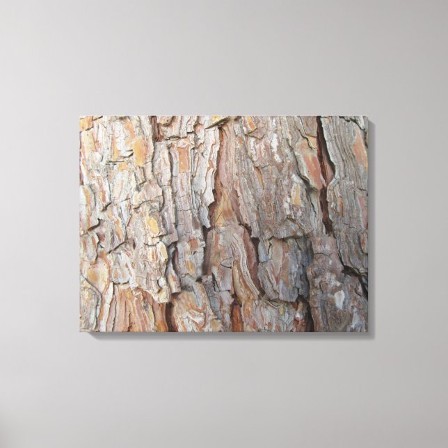 Tree Bark Fall Autumn Patterns  Canvas Print (Front)
