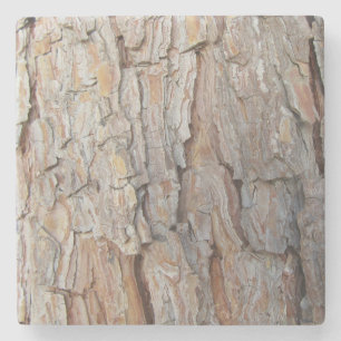 Tree Bark Fall Autumn Patterns Stone Coaster