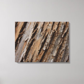 Tree Bark I Natural Abstract Textured Design Canvas Print