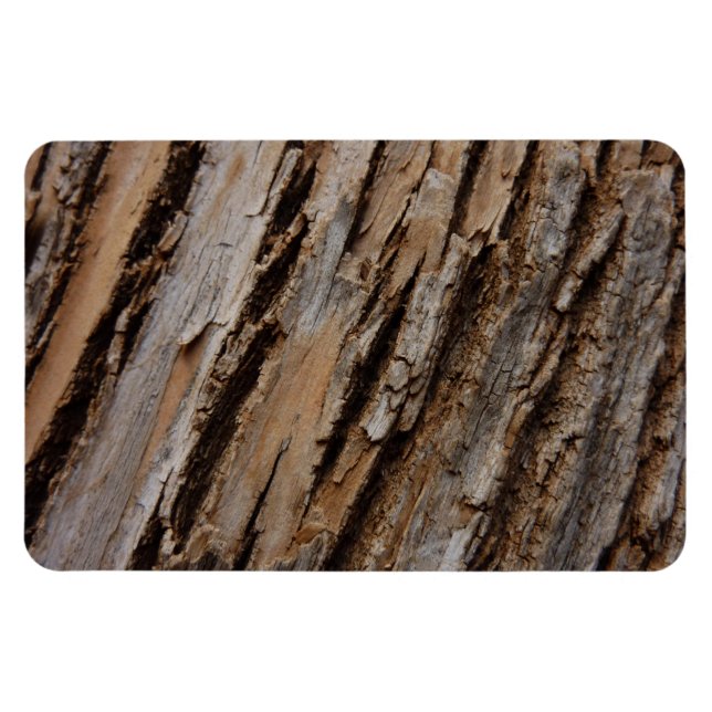 Tree Bark I Natural Abstract Textured Design Magnet (Horizontal)