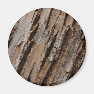 Tree Bark I Natural Abstract Textured Design Magnet