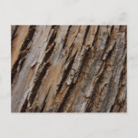 Tree Bark I Natural Abstract Textured Design