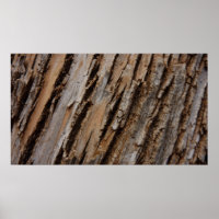 Tree Bark I Natural Abstract Textured Design