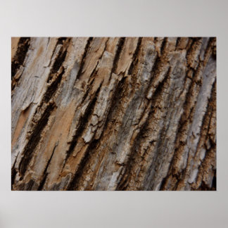 Tree Bark I Natural Abstract Textured Design Poster