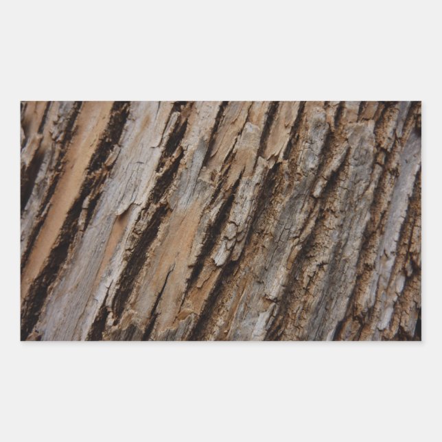 Tree Bark I Natural Abstract Textured Design Rectangular Sticker (Front)