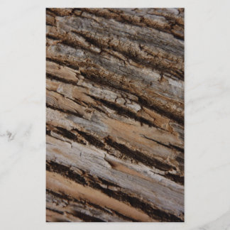 Tree Bark I Natural Abstract Textured Design Stationery