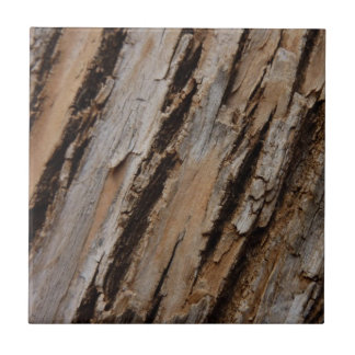 Tree Bark I Natural Abstract Textured Design Tile