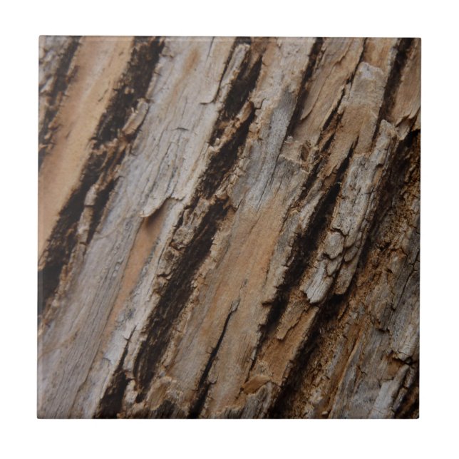 Tree Bark I Natural Abstract Textured Design Tile (Front)