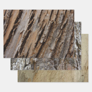 Tree Bark I Natural Abstract Textured Design Wrapping Paper Sheet