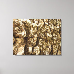 Tree Bark II Natural Textured Design Canvas Print