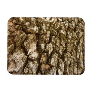 Tree Bark II Natural Textured Design Magnet