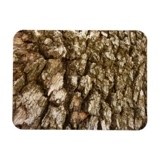 Tree Bark II Natural Textured Design Magnet