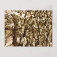 Tree Bark II Natural Textured Design