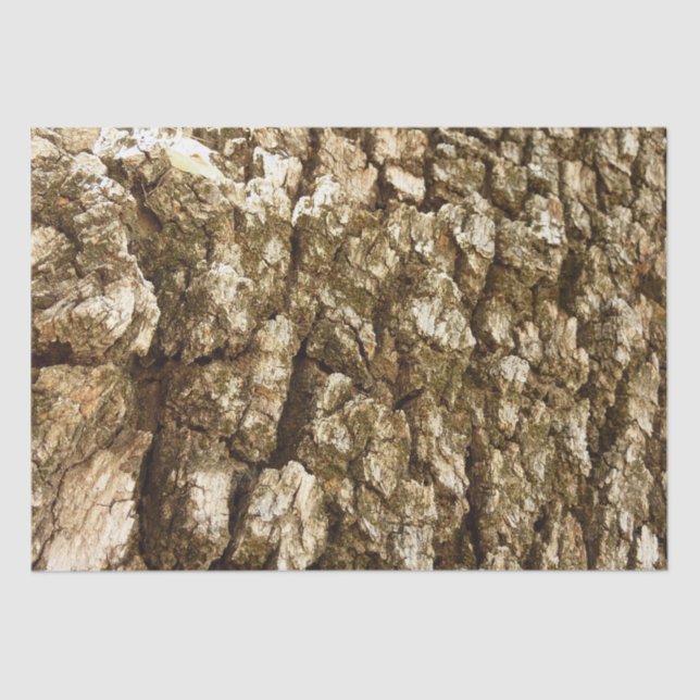 Tree Bark II Natural Textured Design Tissue Paper (Front)