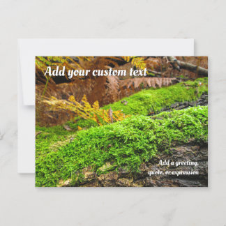 Tree Bark in Autumn Moss - Personalized Postcard