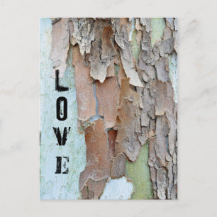 Tree Bark, Love, Rustic Postcard
