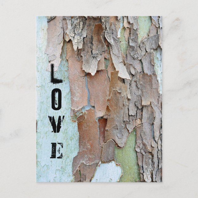 Tree Bark, Love, Rustic Postcard (Front)