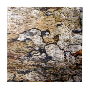 Tree bark pattern tile