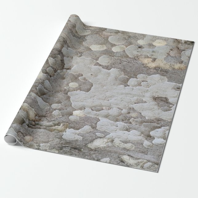 Tree bark pattern wrapping paper (Unrolled)