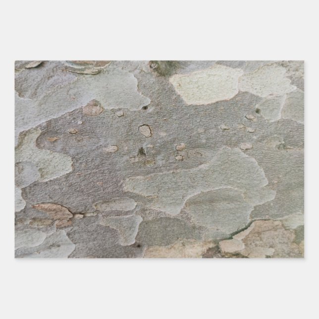Tree bark pattern wrapping paper sheets (Front)