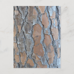 Tree bark texture postcard