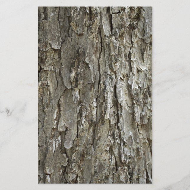 Tree Bark Texture Stationery (Front)