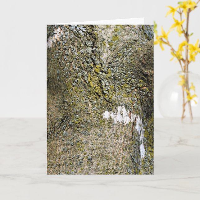 Tree Bark with Moss Close Up Card (Yellow Flower)