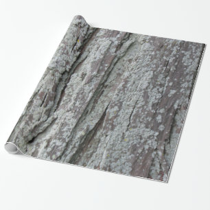 Tree Bark Wrapping Paper