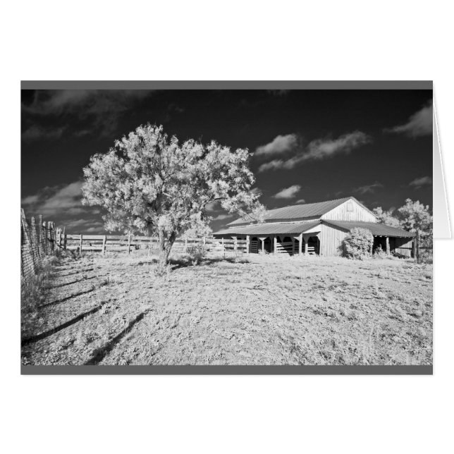 Tree, barn and fence (Front Horizontal)