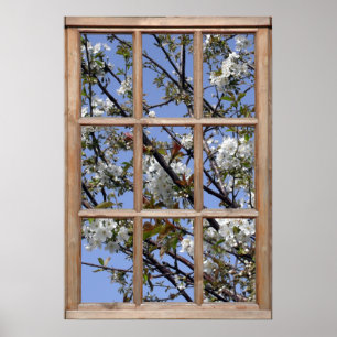 Tree Blossom from a Window Poster
