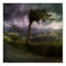 Tree Blowing in the Wind During a Thunder Storm