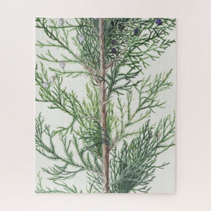 Tree Branch Leaves Impossible Jigsaw Puzzle